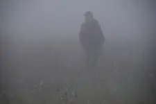Rainer im Nebel.webp