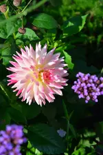 DSC_3004.webp