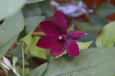 _DSC7336.webp