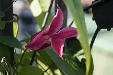 _DSC7354.webp