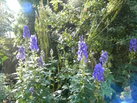 DSCN9557.webp