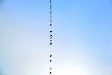 DSC_6098_30451.webp