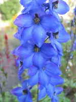 012.webp