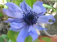 015.webp