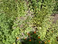 jog 046.webp