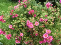 BILD3477.webp