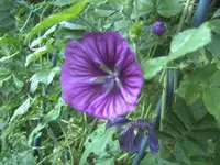 BILD3484.webp