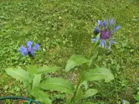 BILD3503.webp