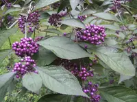 BILD3505.webp