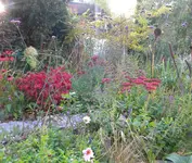DSCN9571.webp