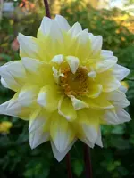 k-DSCI3077.webp