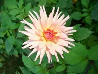 k-DSCI3068.webp