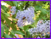 101.webp