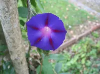 004.webp
