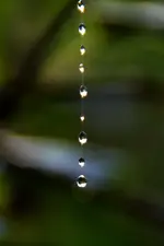 DSC_6109_30462.webp