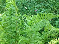 2014-10-04 15.18.12.webp