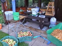 Apfel.webp