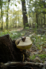 _DSC6624.webp