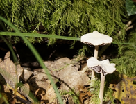_DSC6628.webp