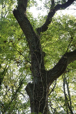 _DSC6634.webp