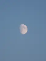 mps 2014 021.webp