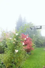 DSCF8270 (2).webp