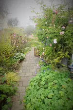 DSCF8279 (2).webp