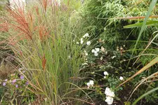 DSCF8284.webp