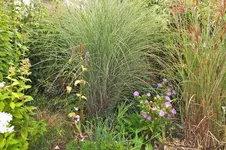 DSCF8283 (2).webp