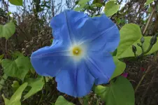 DSCF8155.webp