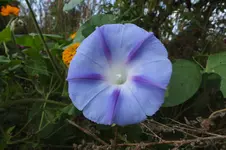 DSCF8156.webp