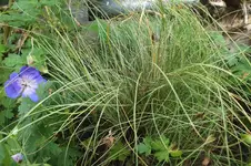 DSCF8036.webp