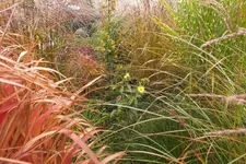 DSCF8274.webp