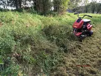 G_Wiese_oben_gemäht_Scooter_vorne__04.10.2014_mr.ditschy.webp