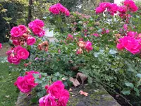2014-10-05 11.13.55.webp
