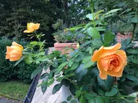 2014-10-05 11.11.17.webp