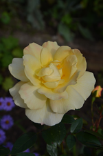 DSC_3027.webp