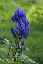 DSC_3030.webp