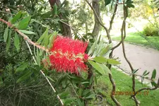 IMG_0374.webp