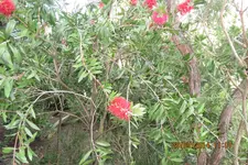 IMG_0375.webp