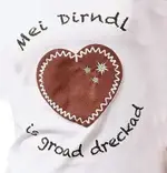 4t.webp