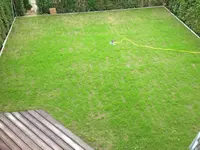 IMG_1490%20%28Medium%29.webp