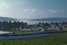 DSCF8196 (2).webp