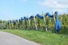 DSCF8194.webp