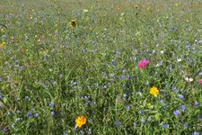 DSCF8213.webp