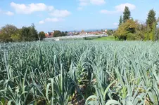 DSCF8189.webp