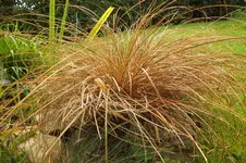 DSCF8002.webp