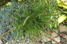 DSCF8286.webp
