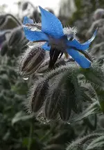 20140924_100807-1.webp