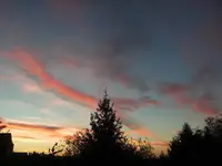 BILD3492.webp